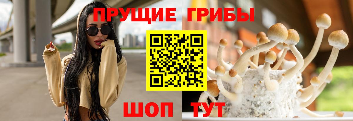 Галлюциногенные грибы Psilocybine cubensis  Вход с VPN  где купить наркотик  Псилоцибиновые грибы ЛСД  Якутск 
