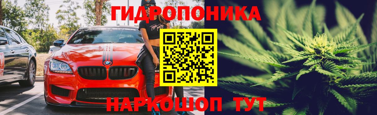 Бошки марихуана семена  Каннабис тримм  Якутск  Вход с VPN 